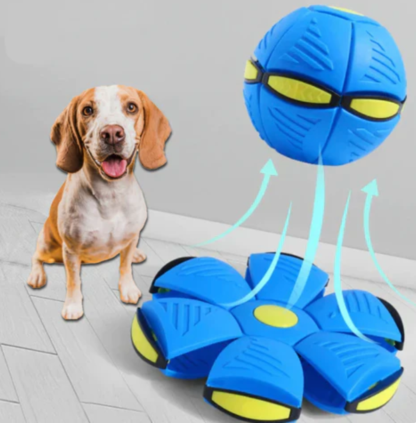 Pelota FlyBall™ para perros