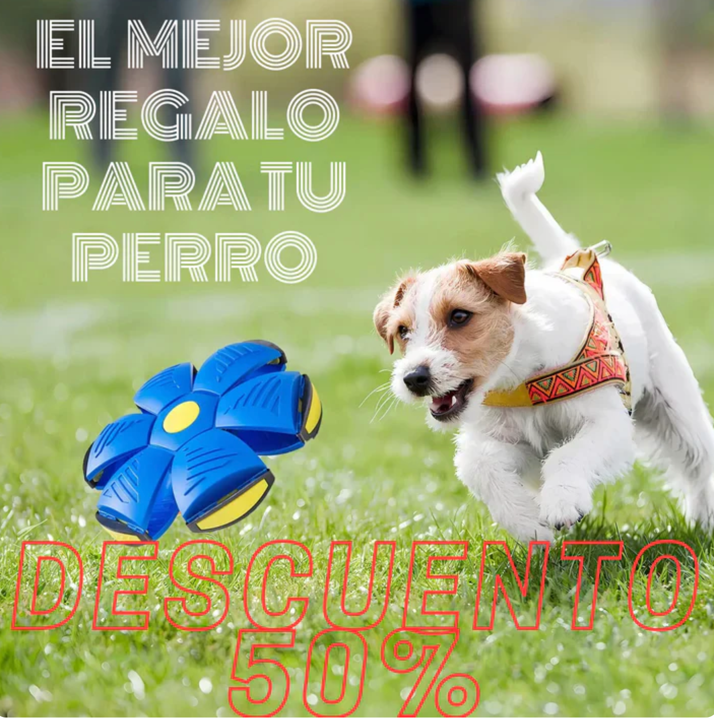 Pelota FlyBall™ para perros